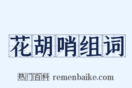 花胡哨组词是什么意思的图片